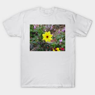 Carmel Yellow T-Shirt